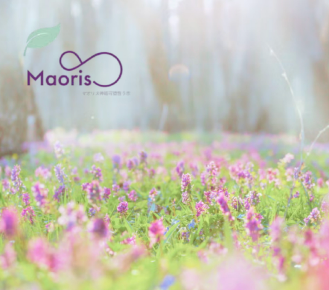 Maorisの導入事例